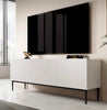 Modern TV Stand With Hinged Doors